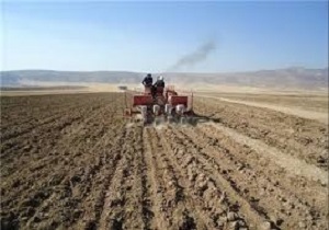 آغاز کشت پاییزه درکردستان