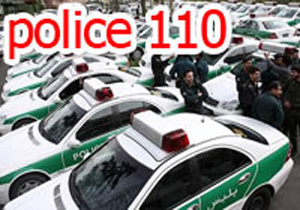 تماس بیش از 191 هزار گلستانی با 110