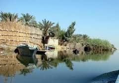 ماهی تیلاپیا خطری برای تالاب شادگان