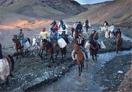 بنزین یارانه ای را قاطرها می‌برند