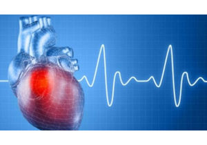 رژیم غذایی وتاثیر آن بر درمان بیماری های قلبی