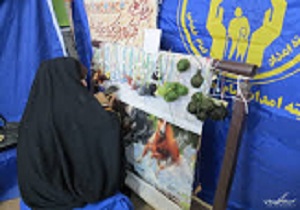 خودکفایی بیش از 7 هزار نفر از مددجویان کمیته امداد استان