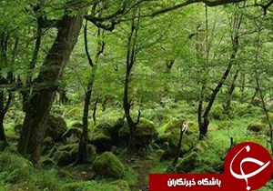 آزاد سازی 56 هزار متر مربع از اراضی ملی