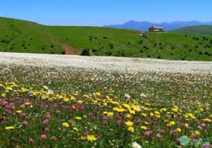 ایجاد و توسعه 6 منطقه نمونه گردشگری در بانه