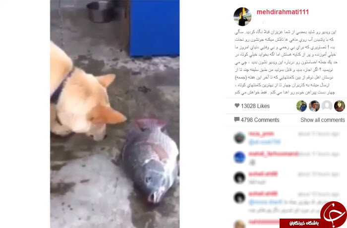 برندگان نظرسنجی مهدی رحمتی+ عکس