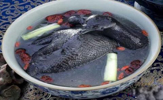 خوراک ثروتمندان در چین + تصاویر