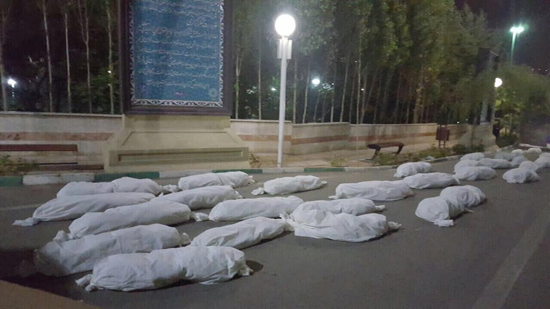 شاکری: کار شهرداری در بوستان نهج البلاغه نماد بی&zwnj;سلیقگی بوده است