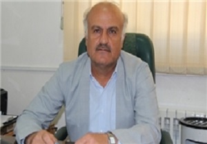 پیش‌بینی برداشت 3 هزار تن انار از باغات سروآباد