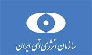 قائم مقام سازمان انرژی اتمی منصوب شد