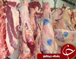 لاشه های کشتاری دام در رامشیر برچسب گذاری می شوند
