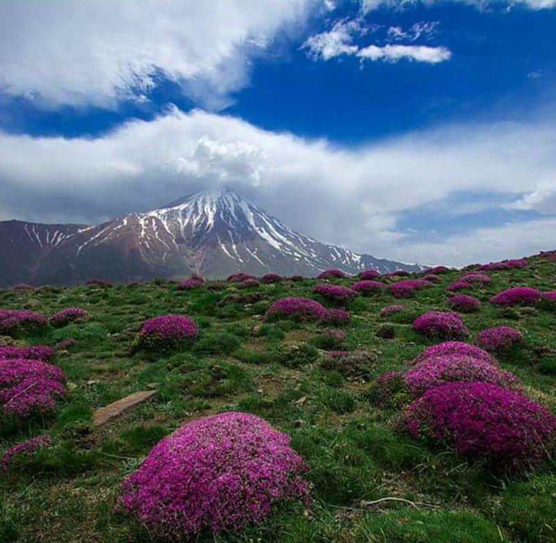 تصاویری ناب و زیبا از ایران زمین