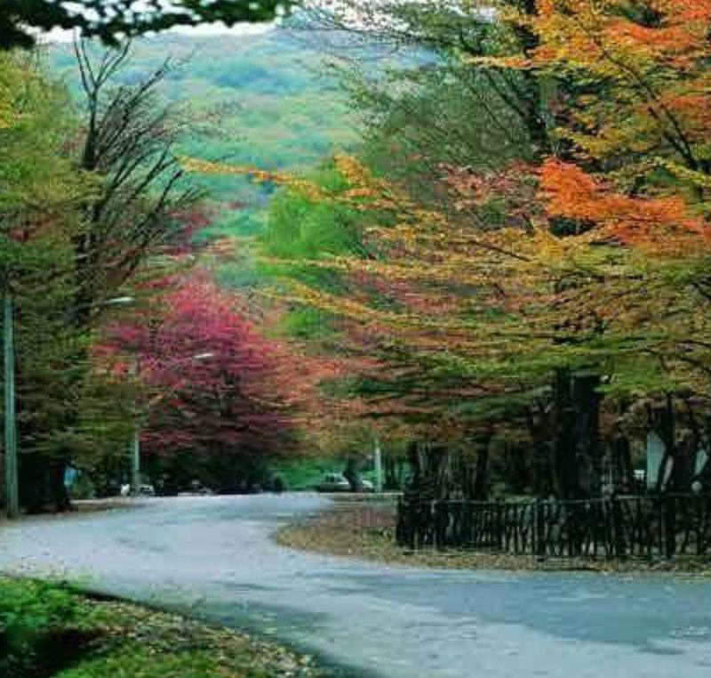 تصاویری ناب و زیبا از ایران زمین