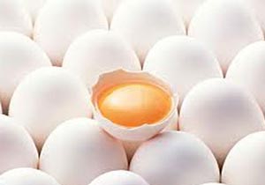 سوء تغذیه پروتئینی در 800 هزار کودک زیر 6 سال