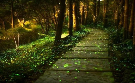 محصور کننده ترین مسیر پیاده روی+ تصاویر