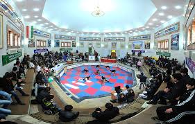 موسوی در میل بازی، صالحی در چرخ چمنی و رضایی در سنگ، قهرمان آسیا شدند