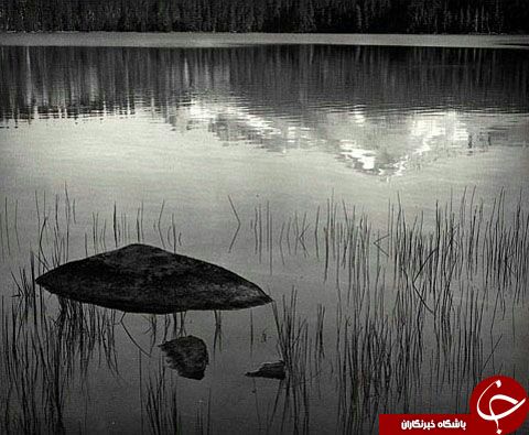 عکس هایی سیاه از طبیعت + عکس /// در حال کار