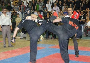 سنندج میزبان برگزاری اردوی تیم ملی فری کونگ فوی کشور