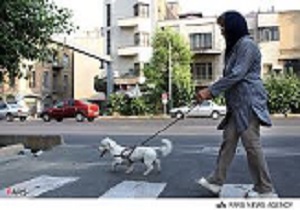 ترویج سگ گردانی با الگو گرفتن از پایتخت در قزوین
