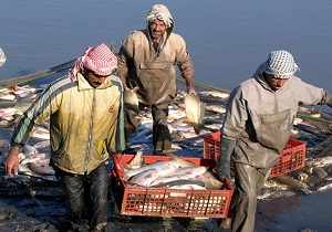 تولید یک میلیون تن آبزی در کشور