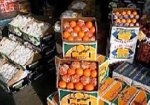 خرید از باغداران و تولیدکنندگان انجام شود