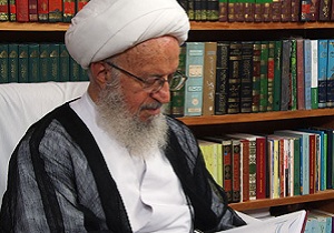 دیدار وزیر بهداشت با مراجع عظام