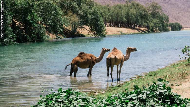 زیبایی صلاله، راز سفر گردشگران به عمان+ تصاویر