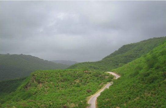 زیبایی صلاله، راز سفر گردشگران به عمان+ تصاویر
