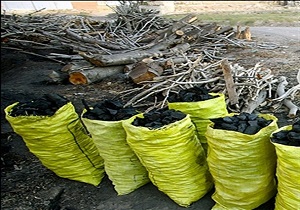 کشف بیش از 10 تن زغال از قاچاقچیان در اردبیل