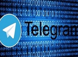 جایزه 300 هزار دلاری تلگرام برای یک هکر!