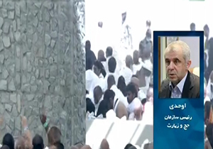اوحدی:کشته و زخمی شدن بیش از 970 تن ‌از حجاج / عربستان به دلیل سوء مدیریت باید پاسخ گو باشد + فیلم