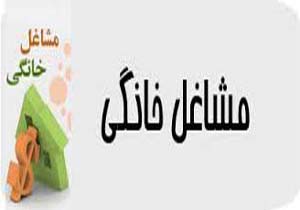 اختصاص بیش از ۷۵ میلیارد تومان اعتبار در بخش مشاغل خانگی