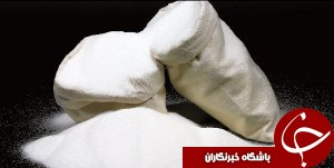 افزایش تولید شکر در کشت و صنعت نیشکر فارابی