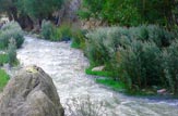 احیای محیط طبیعی رودهای شهر تهران