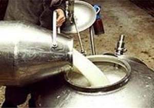 افزایش ۲۰ درصدی تولید شیر خام در هرمزگان