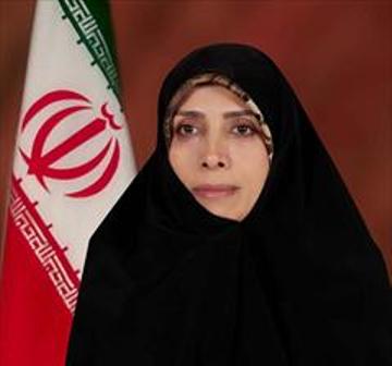 امین زاده: بدون انجام تنقیح قوانین امکان تحقق حاکمیت قانون وجود ندارد
