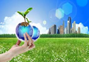 آسیب زباله به حیات وحش بیش از شکاراست