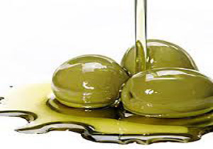 قاچاق بودن نیمی از روغن زیتون‌های وارداتی