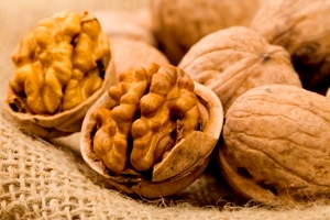 برداشت گردو از باغات شهرستان آذرشهر در آذربایجان شرقی