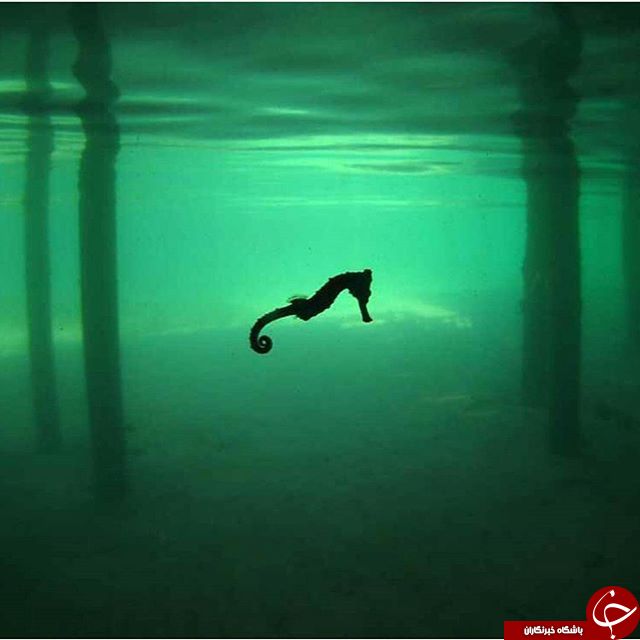 عکس هایی تسخیر کننده از مناطق بکر +تصاویر(قسمت دوم)