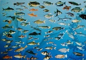 تولید بیش از 110 میلیون قطعه ماهی زینتی در کشور