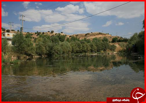 شهر جدول ها و اشکال نجومی ///گزارش مکتوب+ تصاویر ارسال شد برای خانم زرگنده