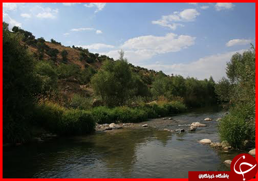 شهر جدول ها و اشکال نجومی ///گزارش مکتوب+ تصاویر ارسال شد برای خانم زرگنده