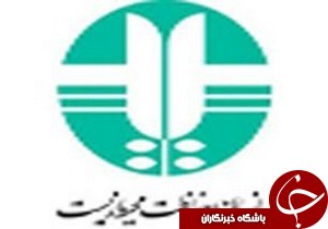 بازگشت یک پرنده حمایت شده به دامان طبیعت در آستارا