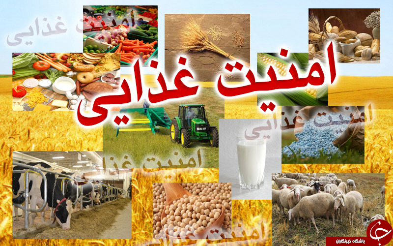 نا امنی غذایی در کمین نوار جنوبی کشور