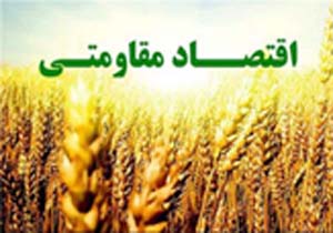 راه اندازی بیش از ۳۰۰ کارگاه اقتصاد مقاومتی در هرمزگان