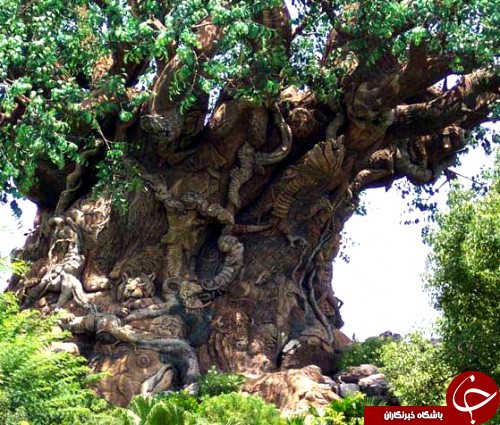 اثر هنری زیبا در یک درخت + عکس