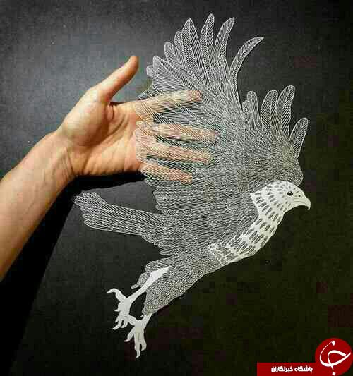 مجسمه هایی باورنکردنی از کاغذ + تصاویر