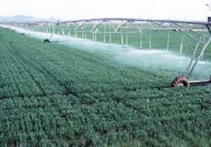 اختصاص بیش از یکهزار و 200 میلیارد تومان برای اجرای طرح سامانه های نوین آبیاری