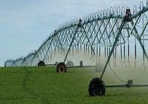 خرد بودن زمین های کشاورزی مانع اجرای سیستم های نوین آبیاری