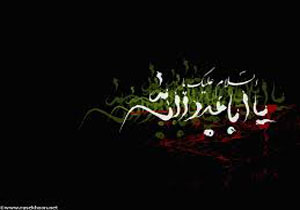 تعبیر امام حسین(ع) از قبر